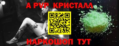 индика Моздок