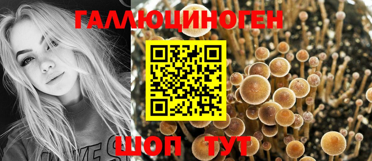 Фрязино  Галлюциногенные грибы MAGIC MUSHROOMS  Вход с VPN  Галлюциногенные грибы Psilocybe 