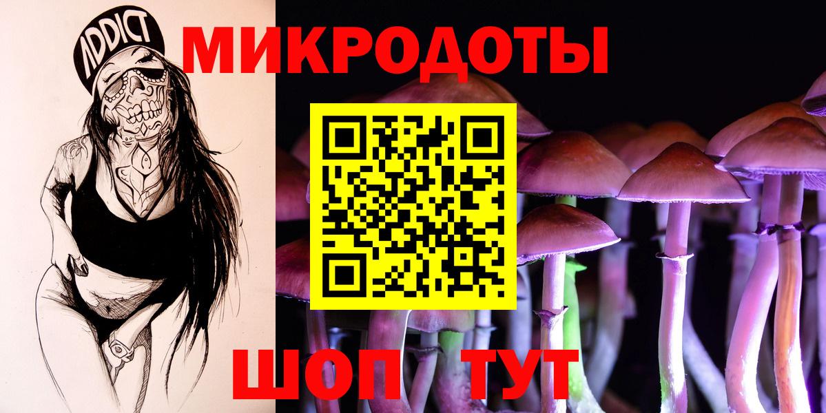 Галлюциногенные грибы Psilocybine cubensis Фрязино